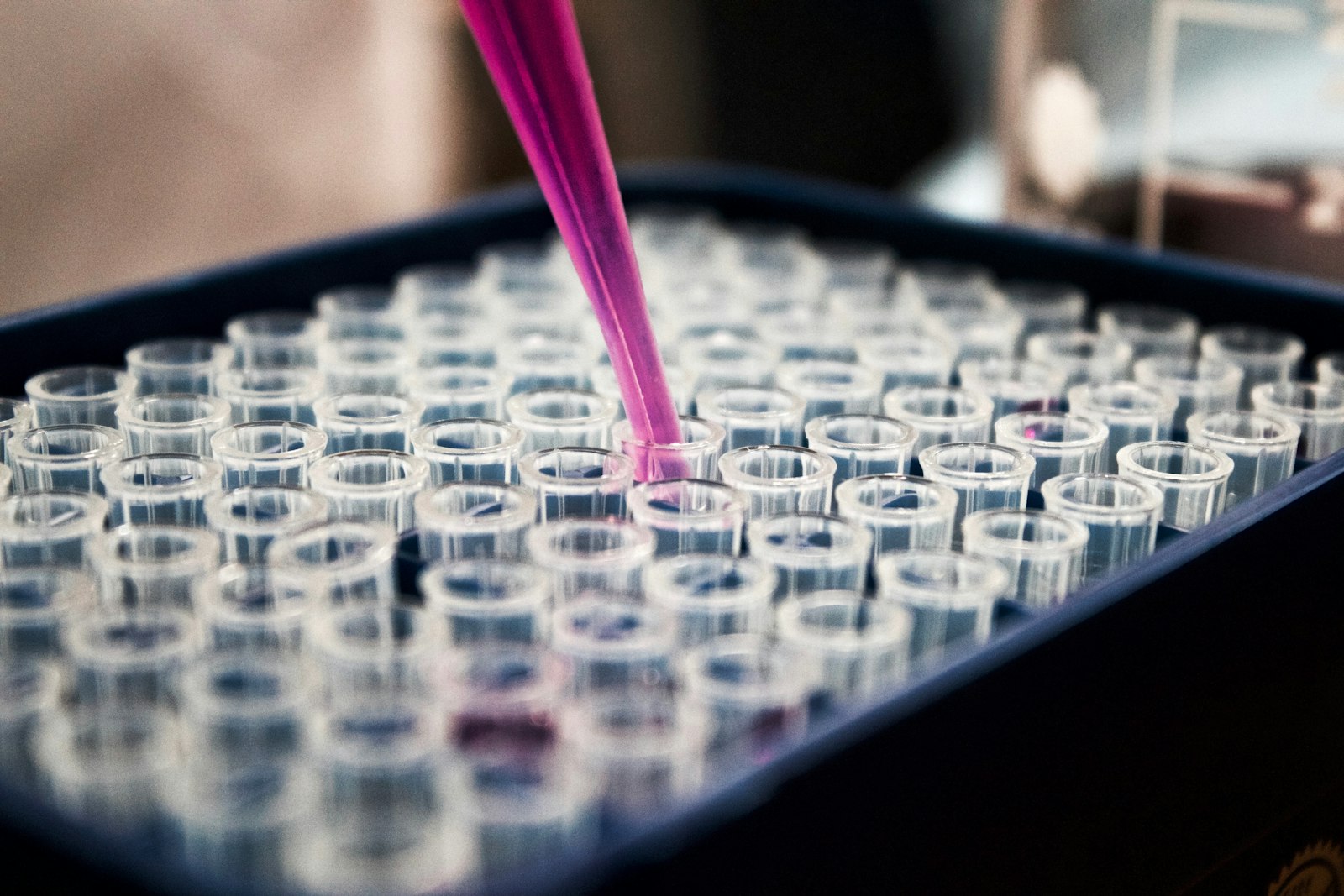 Investigación ENSAP